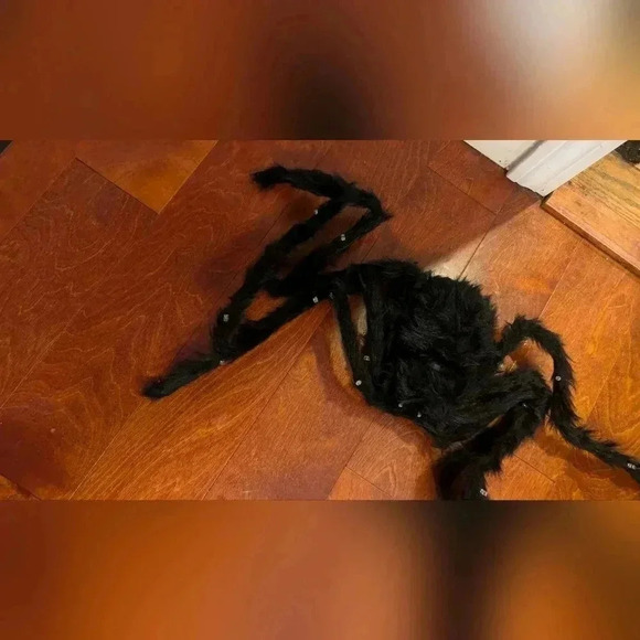 EUC Light Up Spider Halloween Decoration - Picture 3 of 8